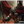 ARES - GOD OF WAR