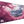 MOUNTAIN BLOSSOM