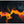 Dark Lava