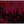 DYSTOPIA