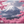 MOUNTAIN BLOSSOM