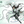 BOUND - SUZU  - WIND